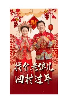 找个老伴儿回村过年