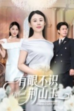 有眼不识荆山玉