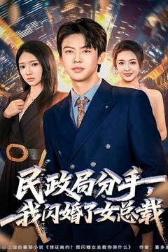 民政局分手，我闪婚了女总裁