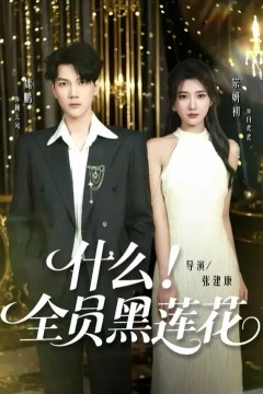 什么全员黑莲花