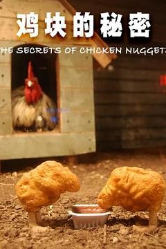 鸡块的秘密