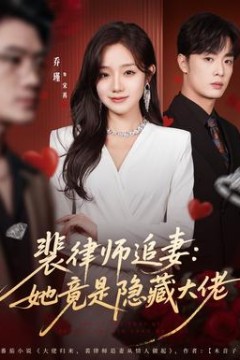 裴律师追妻：她竟是隐藏大佬