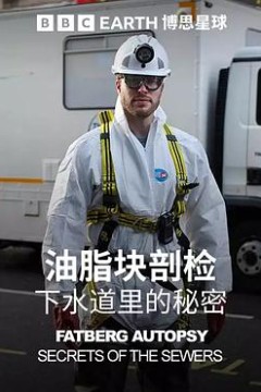 油脂块剖检：下水道里的秘密