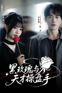 黑玫瑰与天才操盘手