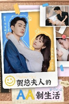 贺总夫人的AA制生活