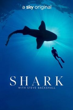 与鲨共舞第一季