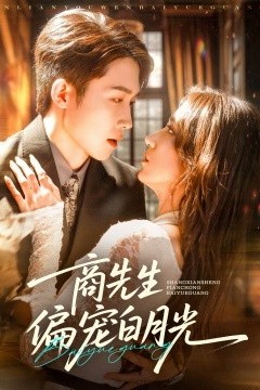 商先生偏宠白月光