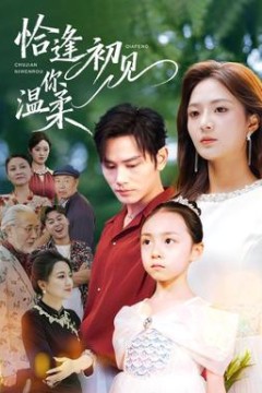 恰逢初见你温柔