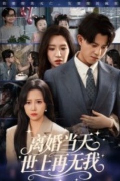 离婚当天世上再无我