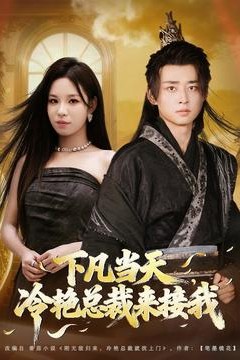 下凡当天，冷艳总裁来接我