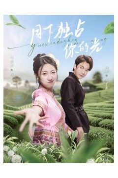 月下独占你的光