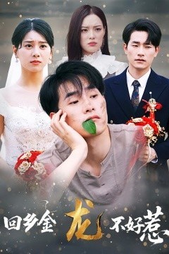 回乡金龙不好惹