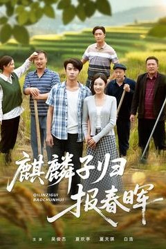 麒麟子归报春晖