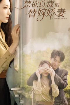 禁欲总裁的替嫁娇妻&闪婚试爱，暮总的天价影后