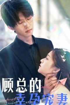 顾总的幸孕宠妻