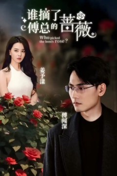 谁摘了傅总的蔷薇