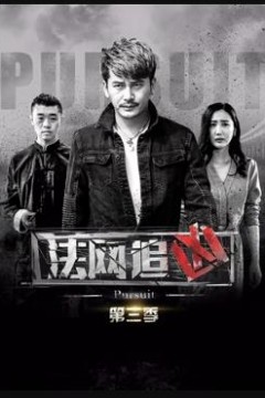 法网追凶第三季