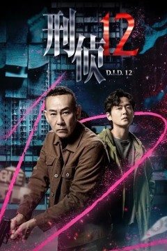 刑侦12