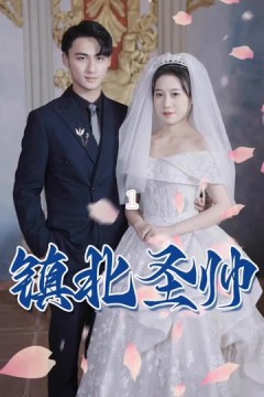 镇北圣帅镇北神帅