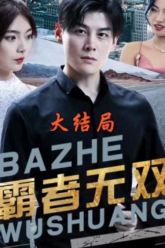 霸者无双护国神帅