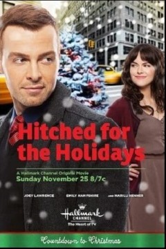 搭了便车去度假