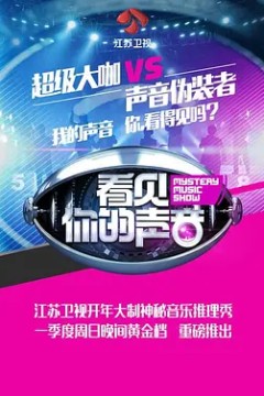 看见你的声音2016