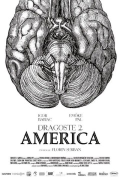 爱情第二部：美国