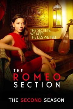 罗密欧间谍第二季