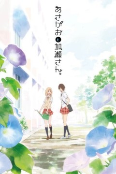 牵牛花与加濑同学2018