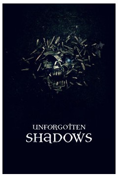 无法忘却的阴影2013