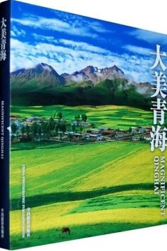 大美青海