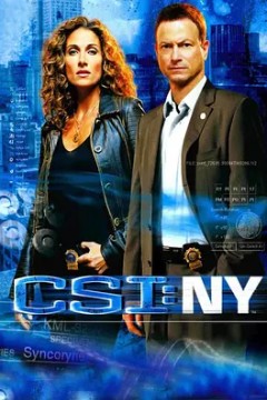 犯罪现场调查：纽约第四季