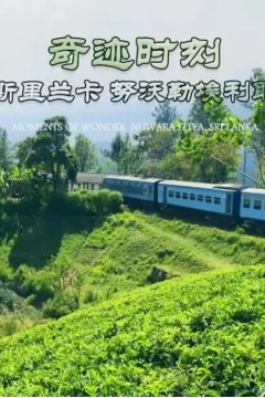 奇迹时刻：斯里兰卡努沃勒埃利耶