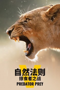 自然法则：掠食者之战