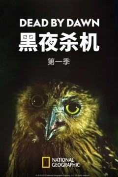 黑夜杀机第一季