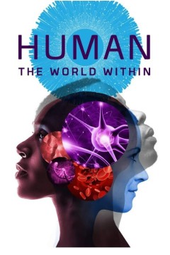 人类：体内的世界