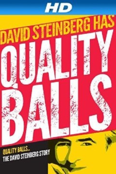 优质球：大卫·斯坦伯格的故事