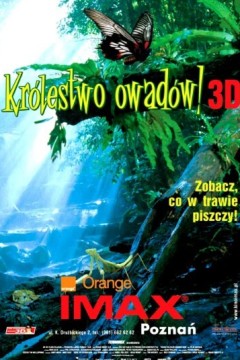 虫子：热带雨林冒险