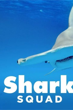 鲨鱼小队第一季