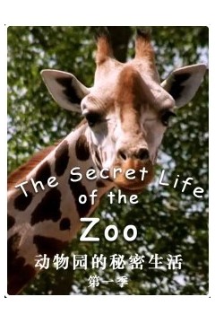 动物园的秘密生活第一季