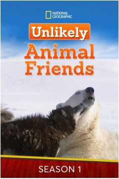 不可思议的好朋友第一季