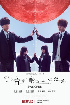 翱翔于天际的夜莺