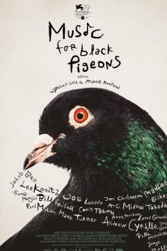 献给乌鸽的乐章