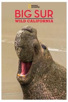 国家地理探索者：加尼福利亚大索尔海岸线