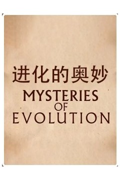 进化的奥妙
