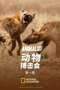 动物搏击会第一季