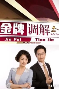 金牌调解2015