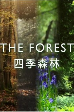 四季森林
