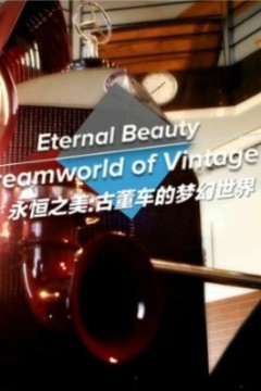 永恒之美：古董车的梦幻世界