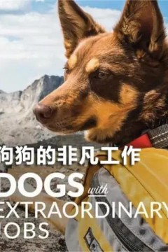 狗狗的非凡工作第一季